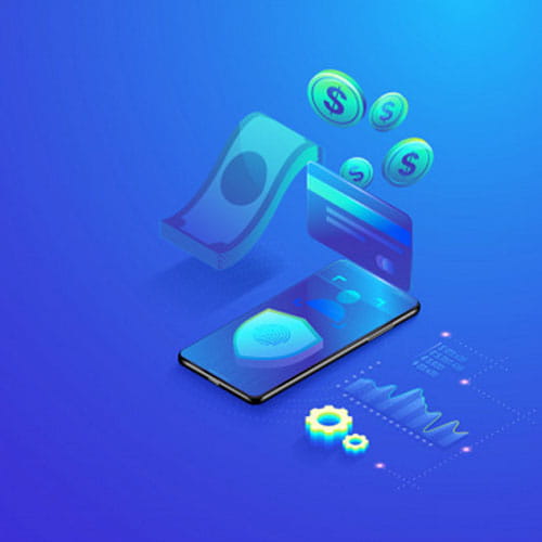 Portfolio Image